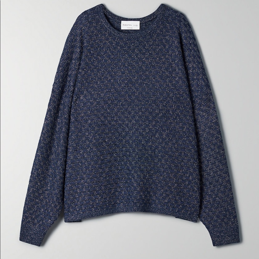 Aritzia Blue Balboa Sweater